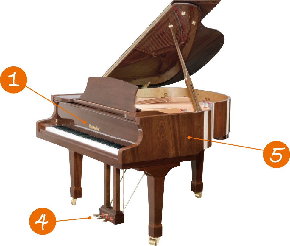 グランドピアノ撮影箇所