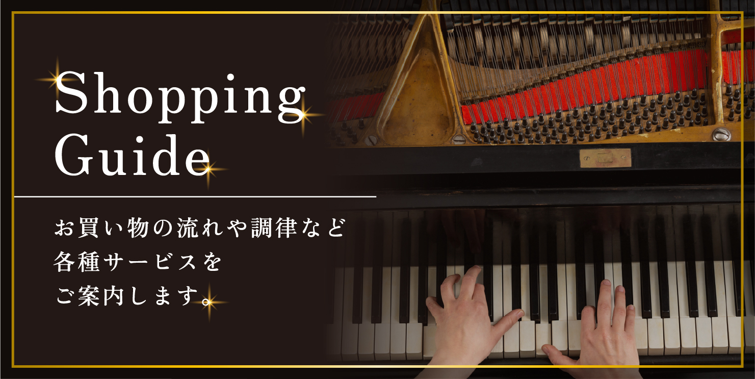 ポリシーと規約