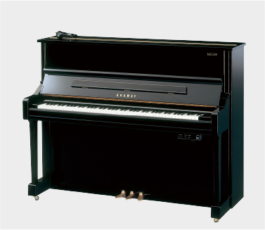 CASIO-electric12345
